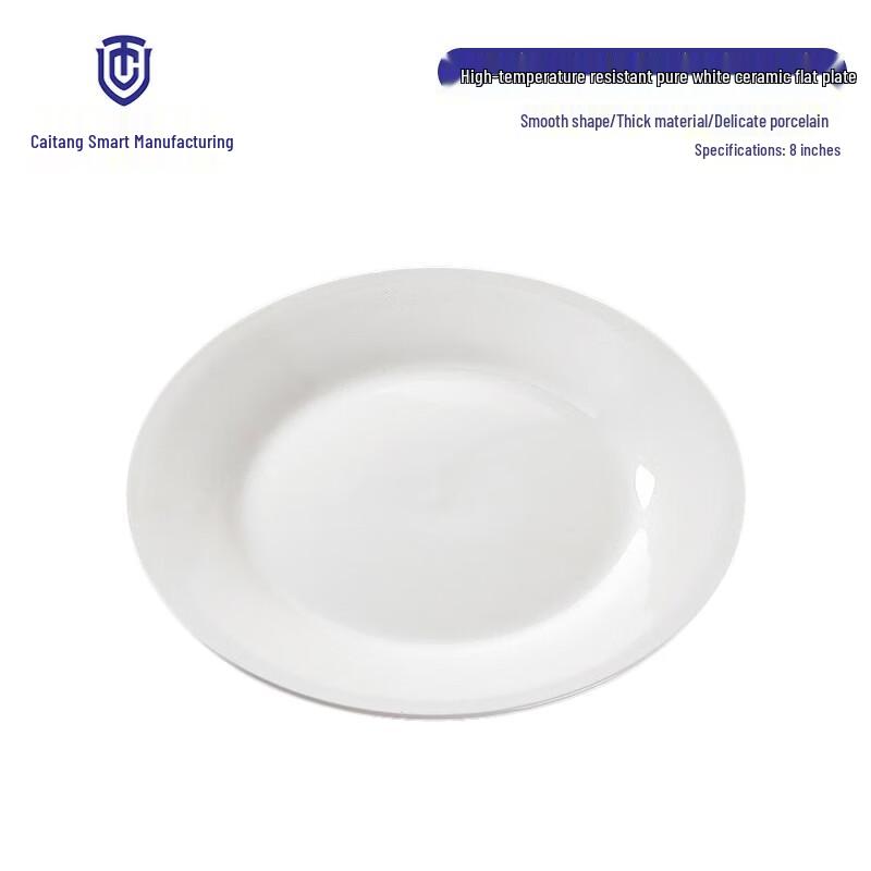 European White Ceramic Buffet Steak Plate