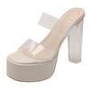 Crystal Slippers Women Wear Small Transparent High Heels Thick Heel Sandals Summer New Niche Sandals