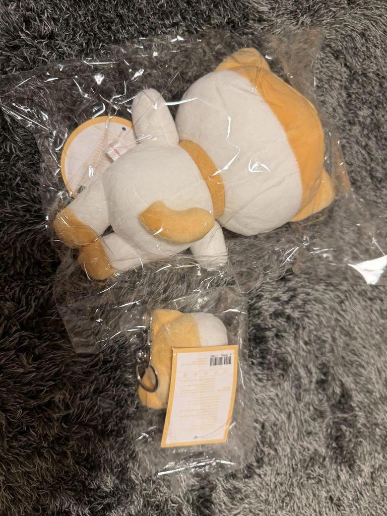 [USED] IVE minive Liz