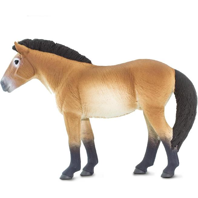 

Сафари ООО. Фигурка лошади Пржевальского - Реалистичная 5-дюймовая фигурка лошади - Развивающая игрушка для мальчиков, девочек и детей от 3 лет и старше