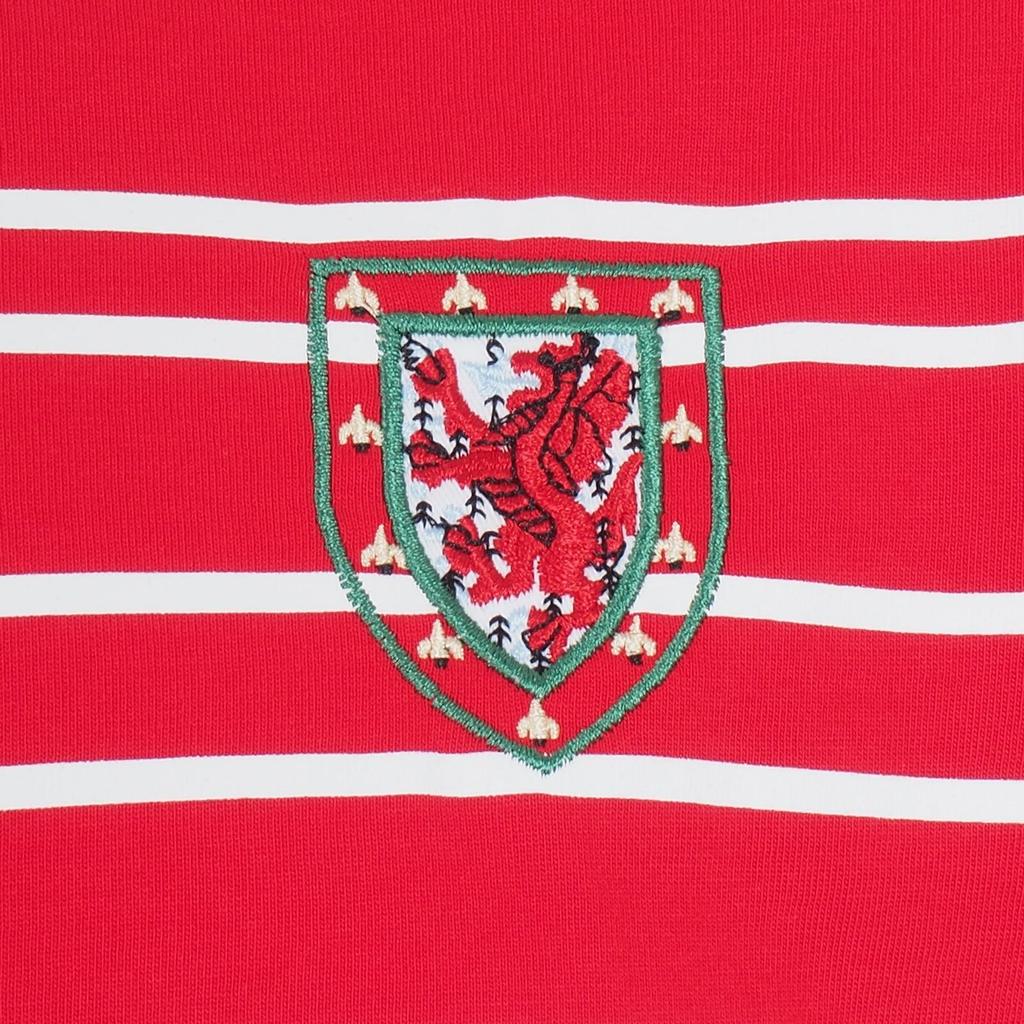 FA Wales Mens T-Shirt