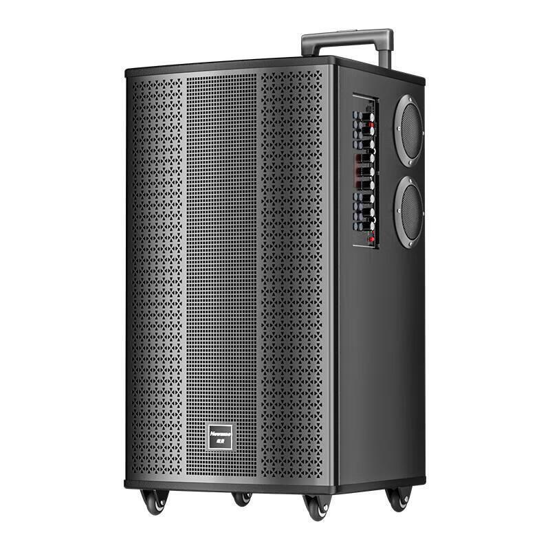 Newmine K33 12-inch Portable Bluetooth Karaoke Speaker