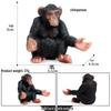 Cross-Border Animal Model: Children's Cognitive Gorilla and Monkey Ornaments