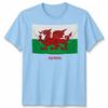 Wales Cymru Welsh Flag Unisex Tshirt Patriotic Welsh Pride Apparel