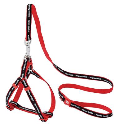 Hundar – Hundhalsband & Koppel