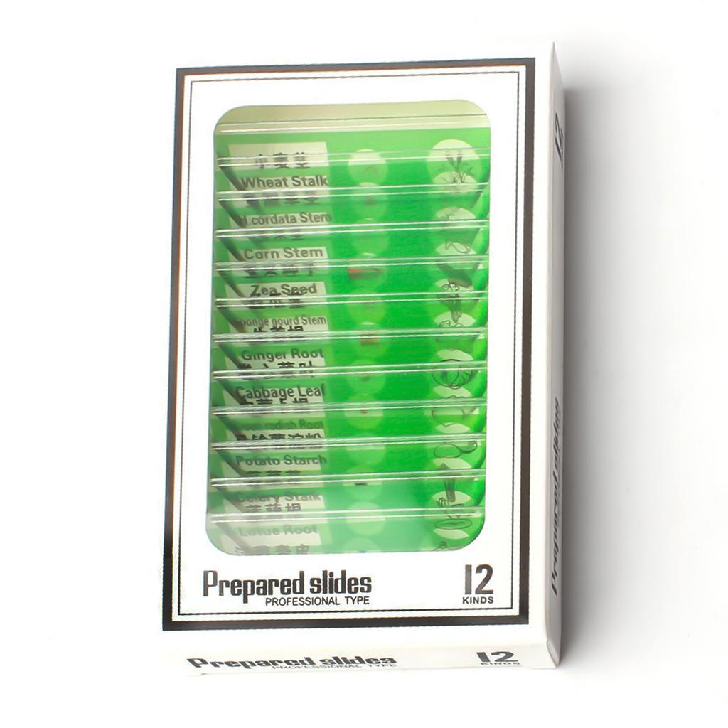 Microscopic Slide Specimens of Mixed Chinese and English, Plants, Animals, Fruits, and Insects