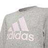 Adidas Girls Essentials Big Logo Sweatshirt