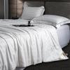 Southern Life 60S Satin Tussah Silk Summer Comforter