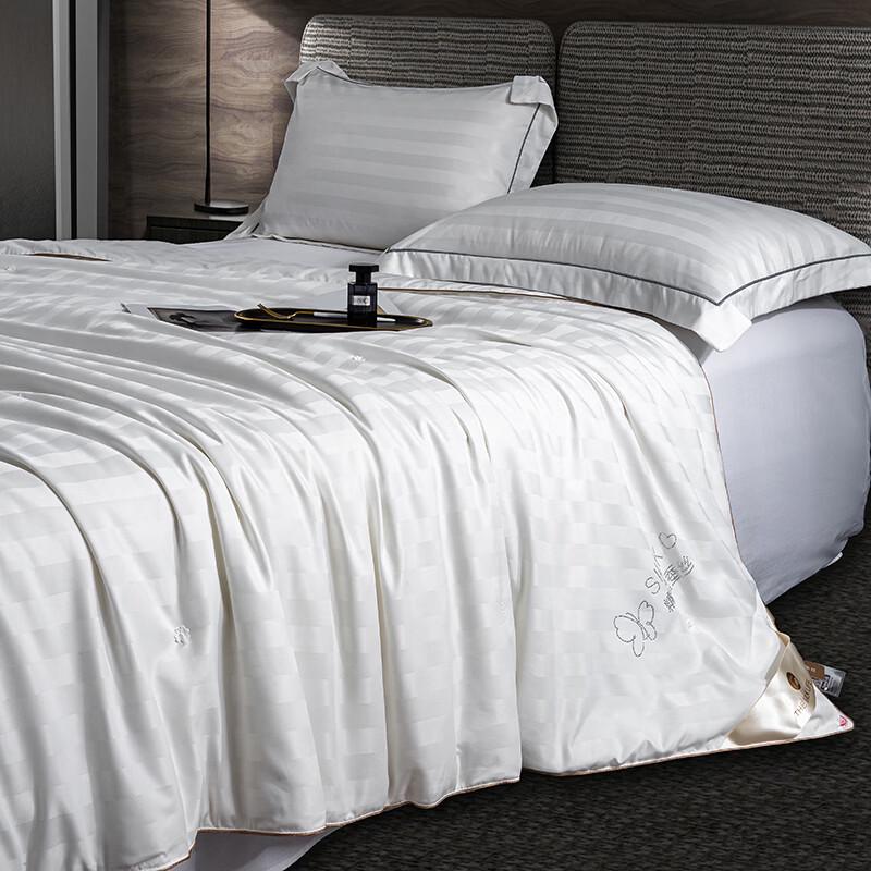Southern Life 60S Satin Tussah Silk Summer Comforter