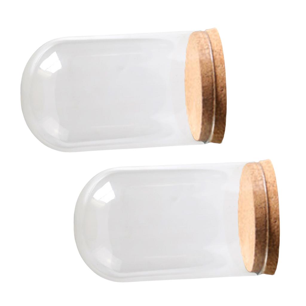 Sada 2 Mini Sklenených Klenbových Zvonov s Korkovou Podstavou Sklenené Zvončeky Nádoba Teráriá Vystavovacie Fľaše na Skladovanie Kvetov Umelecká Expozícia