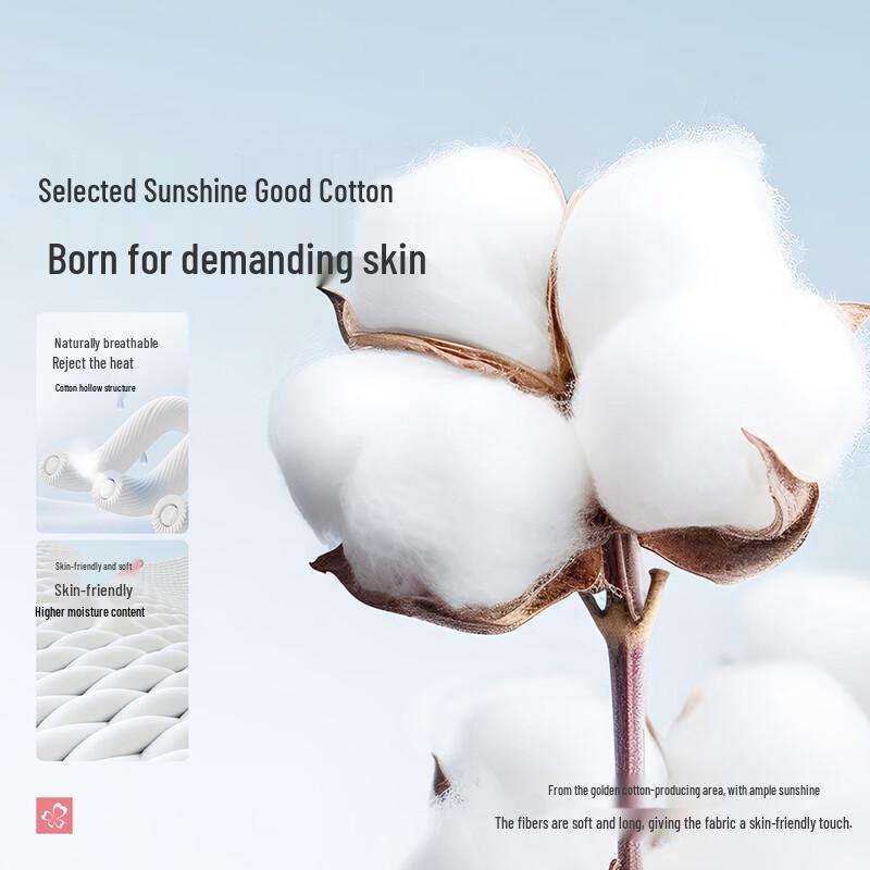 Ladies' Seamless Mid-Waist Antibacterial Cotton Underwear 3-Pack