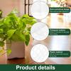 Moss Stick Height Adjustable Moss Pole Transparent Weather Resistant Water Moss Column Plastic 24 Inch Plant Support Garden