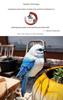 Hummingbird and Tit Bird Resin Garden Ornament for Outdoor Decoration