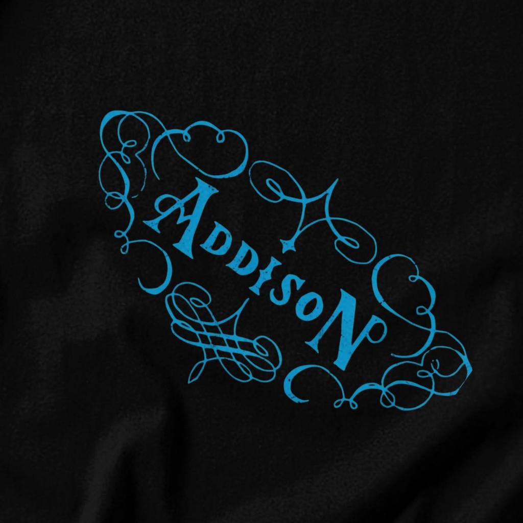 Men T Shirt Singer Addison Rae 2025 Tour Merch 2026 Pops Y2K Graphic Customized Unisex Tops T Shirts