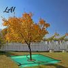 Durable PE Leaf Gathering Mat Landscape Tarp for Trimming Garden Pruning with Hole & 4 Heavy Duty Yard Cleanup Corner Buckles Shrub Trimmings