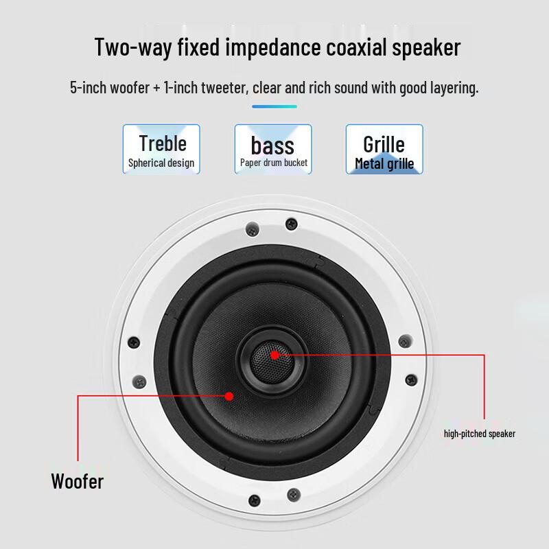 Newmine D9 Wireless Coaxial Ceiling Speaker System (CN version)