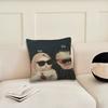 cat Funny cushion cover Pillow Cover Decoration Room Home Sofa living Office Car Nordic Simplicity