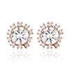 Cranne 14K Goldpin Stone Earrings C24Egp016