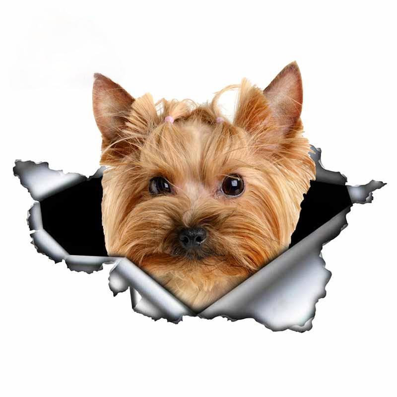 LYKX Yorkshire Terrier Pet Dog Styling Personality Sticker Torn Metal Vinyl Decal Animal Car Stickers Window Bumper