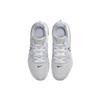 Nike LeBron Witness 6 'Summit White Metallic Pewter' CZ4052-102