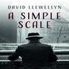 A Simple Scale by David Llewellyn Paperback Book 9781781724705