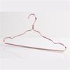 10 Pcs Aluminum Alloy Clothing Hanger ,Durable Anti Deformation Metal Closet Storage Rack Hangers,Wardrobe Space Saver Hanging Supplies Organizer