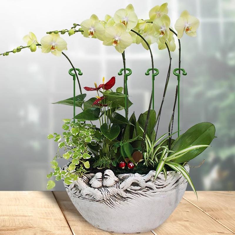 Plastové podpěry rostlin Stojan Motýli Orchidej Květináč Upevňovací tyče Ochrana zeleniny Upevňovací nástroj Zahradní doplňky