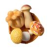 Mushroom Fridge Magnets Refrigerator Magnets Fridge Decorative Magnets for Home Whiteboard Classroom Office Locker