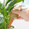 Little Bird Visual Automatic Drip Waterer for Gardeners and Travelers