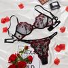 European & American Ultra-Thin Lace Embroidered Lingerie Set: Sexy Bra & Panties