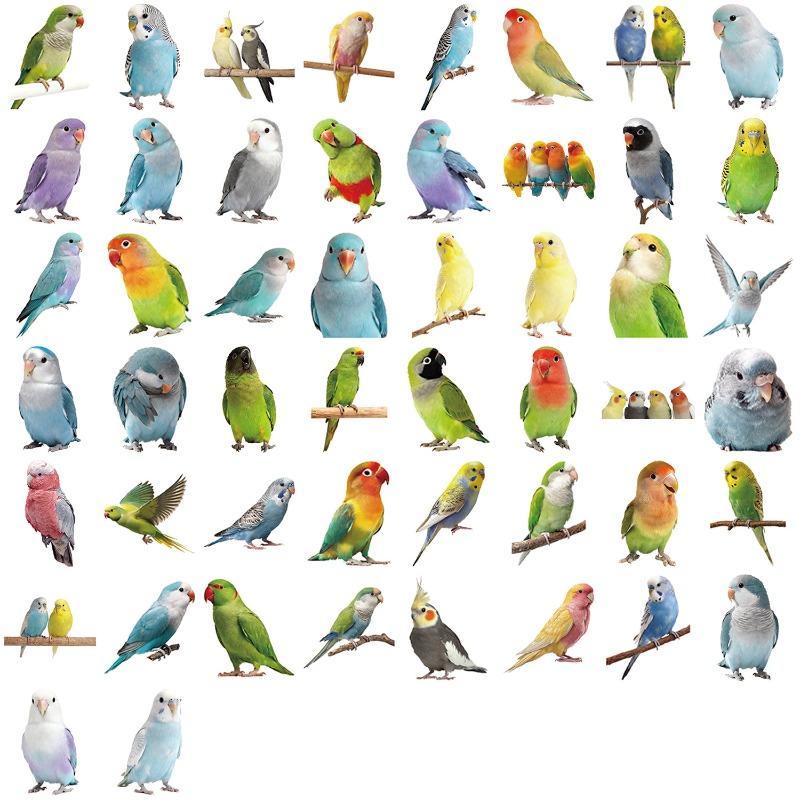 

50 Штук Милых Мультяшных Попугаев и Птиц Наклеек для Украшения Багажа, Скейтборда, Водонепроницаемые ПВХ Наклейки