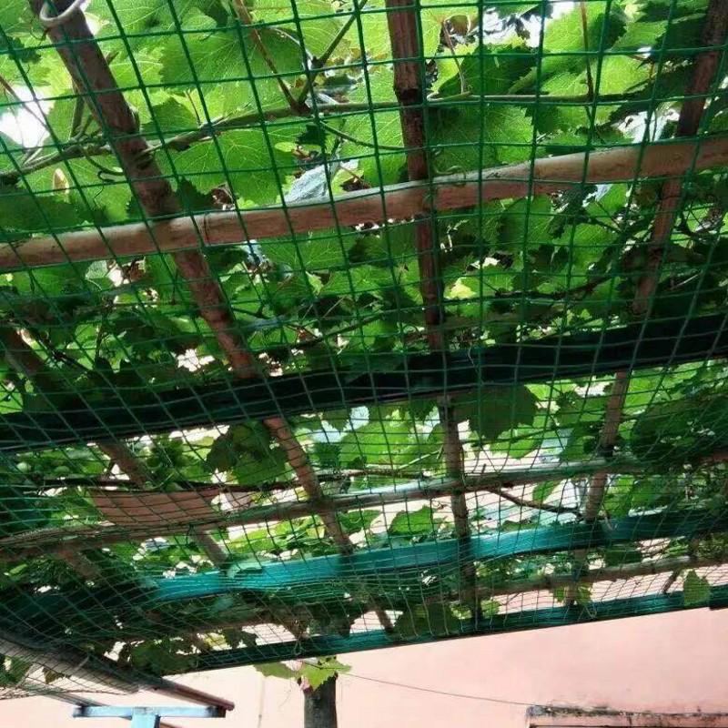 Protective Dutch Wire Mesh Enclosure for Household Breeding - Ideal for Chickens, Ducks, Rat-Proofing, and Window Safety