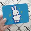 Miffy Rabbit Kawaii Iron Card Organizer Cute Cartoon Storage Box for Small Cards Stylish Metal Container for Office  Home Gifts