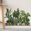 Tropical Greenery Potted Wall Stickers 3D Turtleback Leaf Decals For Wall Decor Bedroom Living Room Wall Landscaping Decor