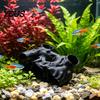 Pești și animale marine – Decorul acvariului