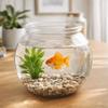 Impact Resistant Mini Fish Tank Round Heavy Duty Transparent Fish Tank Plastic Transparent Betta Fish Bowl Decorations