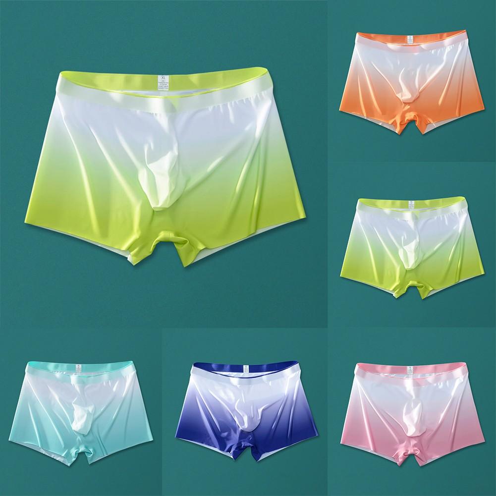 Lightweight Underwear Sexy Sheer Soft Boxer Briefs