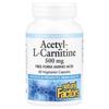 Natural Factors Acetyl-L-Carnitine 500mg Veggie Capsules, 60 Count
