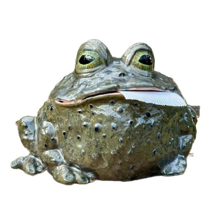 

Unique Animal Shape Tissue Holder Decorative Resin Frogs for Bedroom Dresser 1