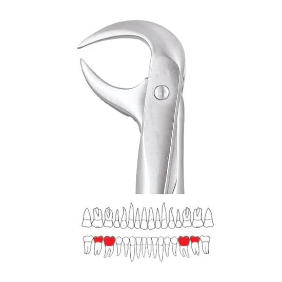 

Экстракционные щипцы GDC для нижних моляров - 86A Стандартные (FX86AS)