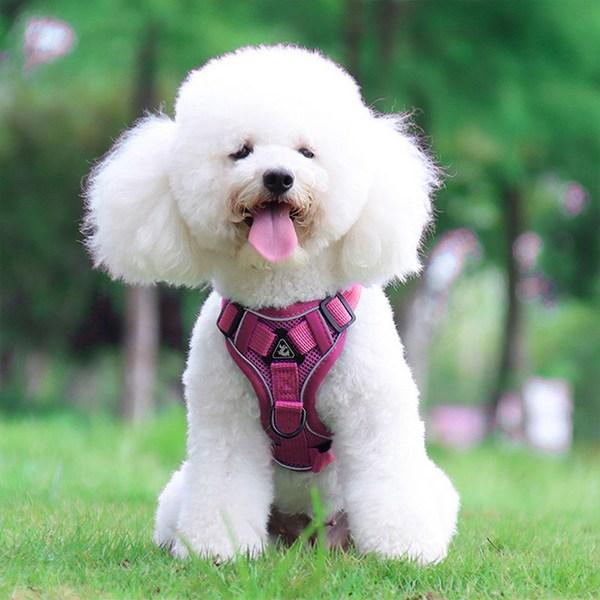 Tookka Comfortable Dog Pet Happy Dog Tookka Harness, Blue, 2 Pieces