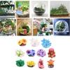 Aquariums Decoration Set of 11 Resins Simulated Coral Seaweed Plant Miniatures Ornaments for Fish Tanks Accessories