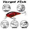 Lucky Craft FAT CB BDS Magic 2.2 - US Standard Color Fishing Lure Crankbait (419 BP Golden Shiner) 65mm