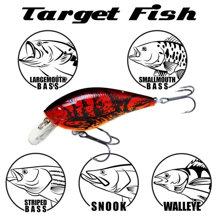 Lucky Craft FAT CB BDS Magic 2.2 - US Standard Color Fishing Lure Crankbait (419 BP Golden Shiner) 65mm