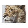 Lion Colourful Painting Blanket Soft Warm Flannel Throw Blanket Plush for Bed Living room Picnic Travel Home Couch