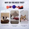 Cães – Brinquedos para cães