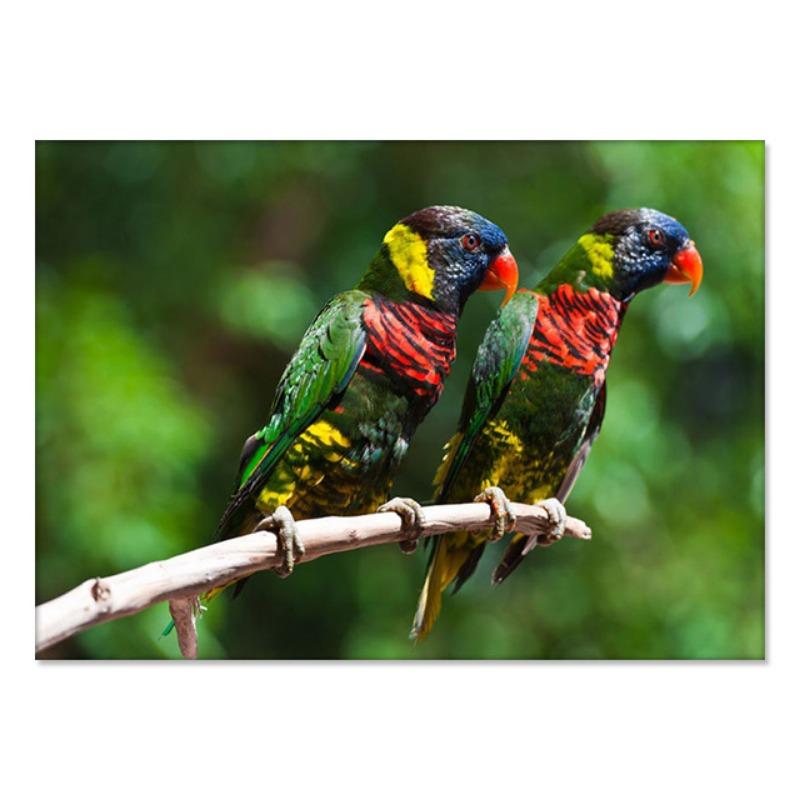 Colorful Parrot Poster Beautiful Bird Wall Art Animals Pictures Canvas Print Living Room Home Aesthetics Decor Painting Cuadros