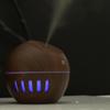 USB Mini Wood Grain Car & Home Humidifier Air Purifier