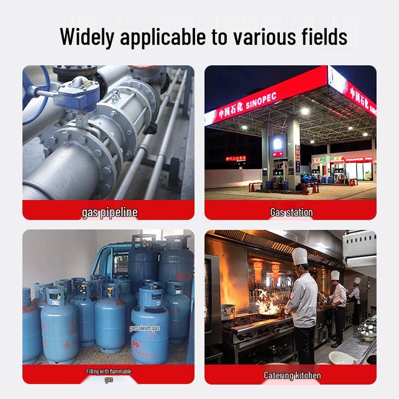 Baoshian Portable Combustible Gas Leak Detector (CN version)