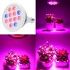 Full Spectrum LED Grow Light E27, 21W/36W for Indoor Plants